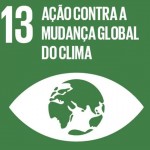 ods13